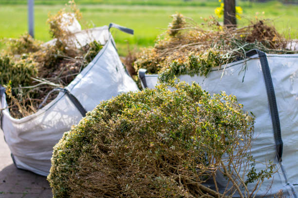 Best Same-Day Junk Removal Services  in Dayton, WA